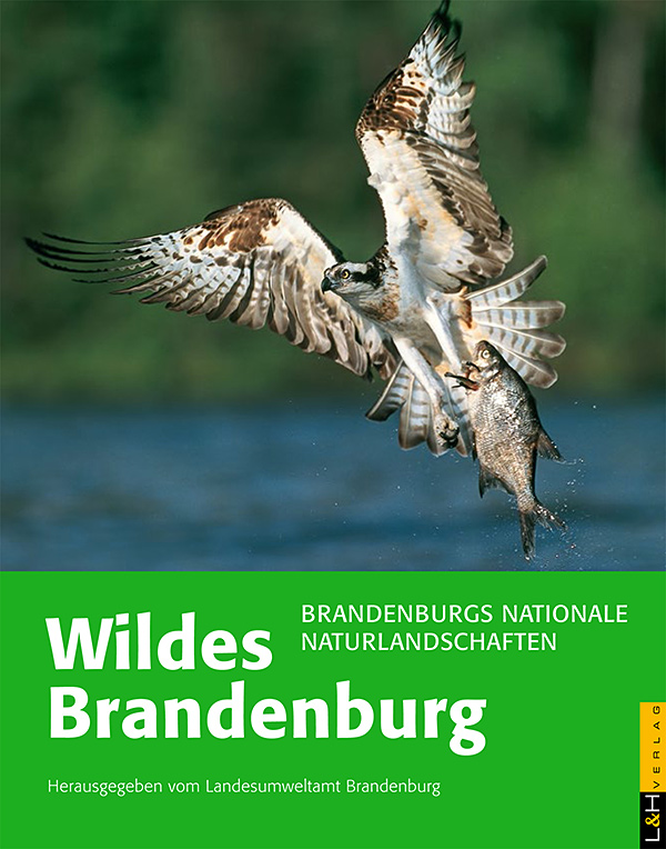 Cover-Wildes-Brandenburg.jpg