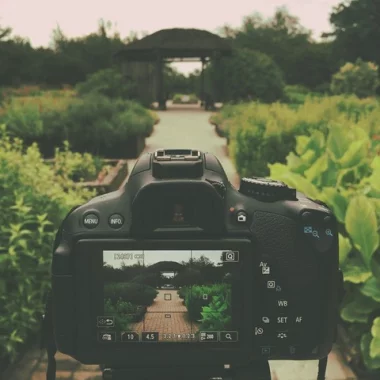 Kamera im Garten (Foto: pixabay)
