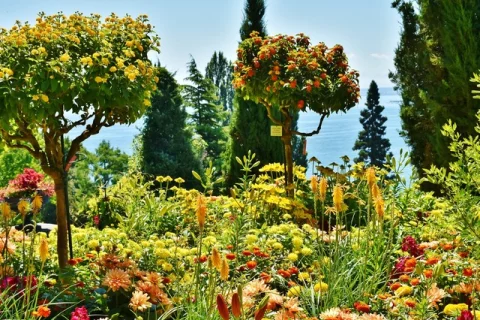 Insel Mainau (Foto: pixabay)