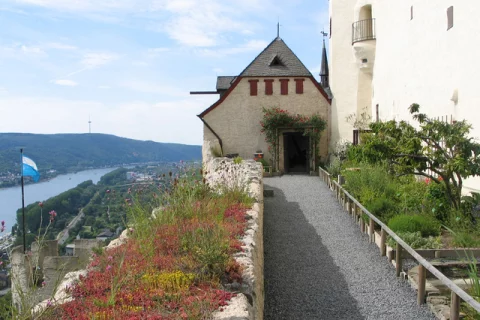 Botanischer Garten des Mittelalters, Marksburg Braubach (Foto: Dt. Burgenvereinigung e.V.)