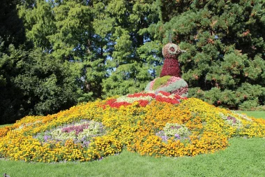 Insel Mainau (Foto: pixabay)