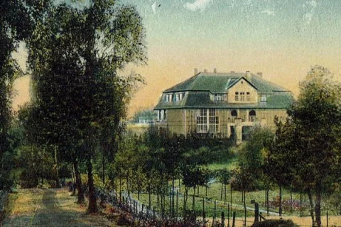 „Birkenallee nach Eddelsen mit Blick auf das Landhaus Kalckreuth“, Ansichtskarte, undatiert, Privatarchiv Joachim Schnitter 
